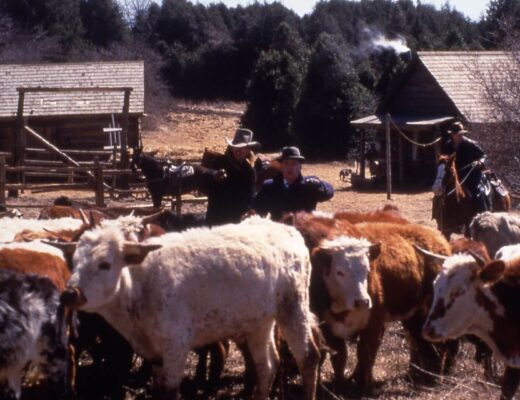 Nic dobrego dla kowboja